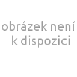 Obrázek pro produkt Dámská mikina MOON S