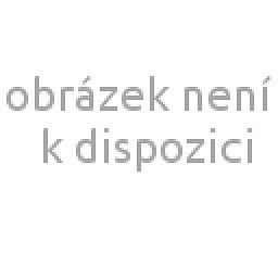 Dámská mikina BREAK L Obrázek pro produkt Dámská mikina BREAK L